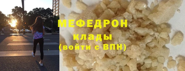 МДПВ Пересвет