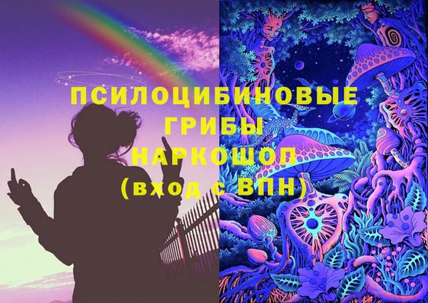 PSILOCYBIN Армянск