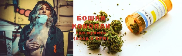 PSILOCYBIN Армянск