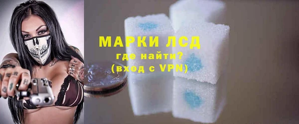стаф Алексин