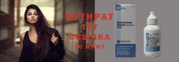 МДПВ Пересвет