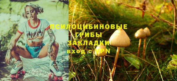 MESCALINE Переславль-Залесский